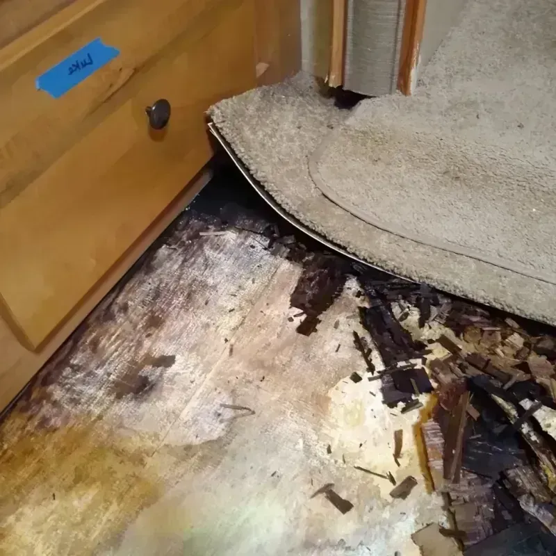 Best Wood Floor Water Damage Service in Cedar County, MO